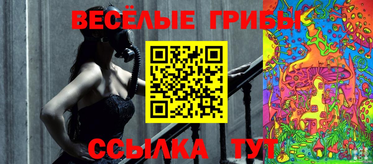 Чебоксары  Галлюциногенные грибы Psilocybe  Псилоцибиновые грибы прущие грибы  Вход с VPN 